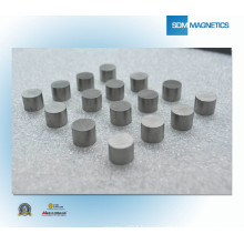 Safety Industrial Magnet